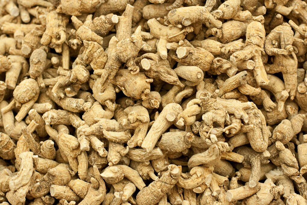 rễ nhân sâm để tăng hiệu lực