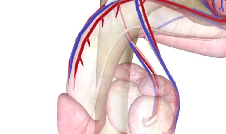 Cách nâng cao tiềm năng
